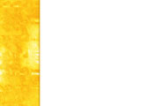 PowerPoint Template
