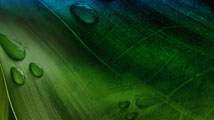 Botany 02 powerpoint template.