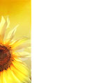 PowerPoint Template